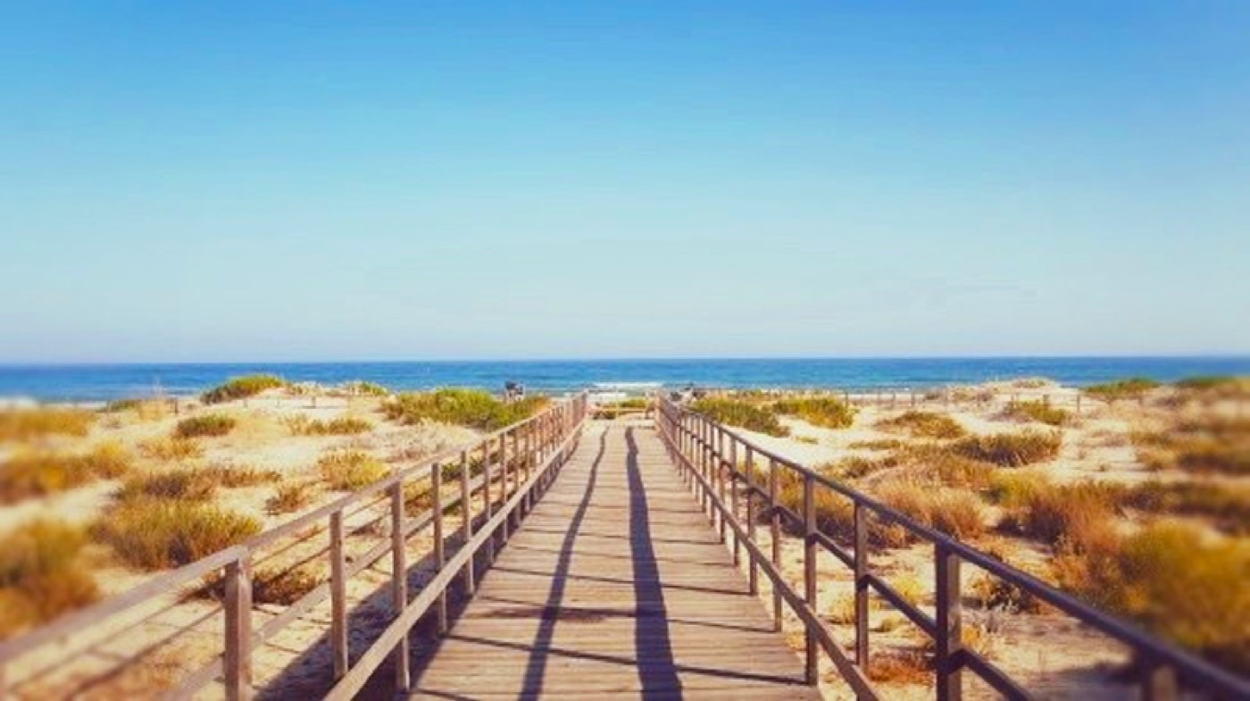 Praia de Alagoa — paisagem costeira do Algarve